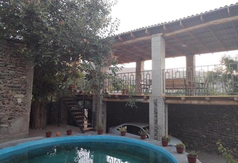 פנסיון Nosir Guesthouse