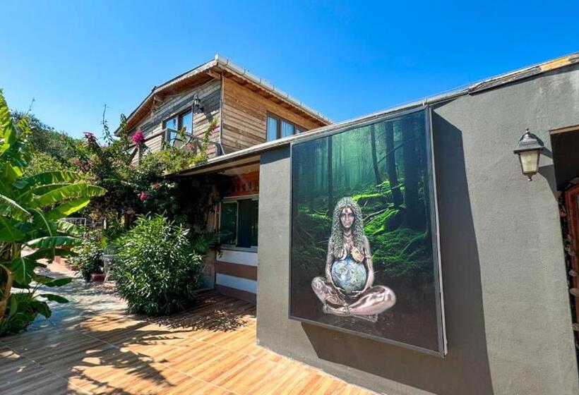 مبيت وإفطار Gaia Bungalow