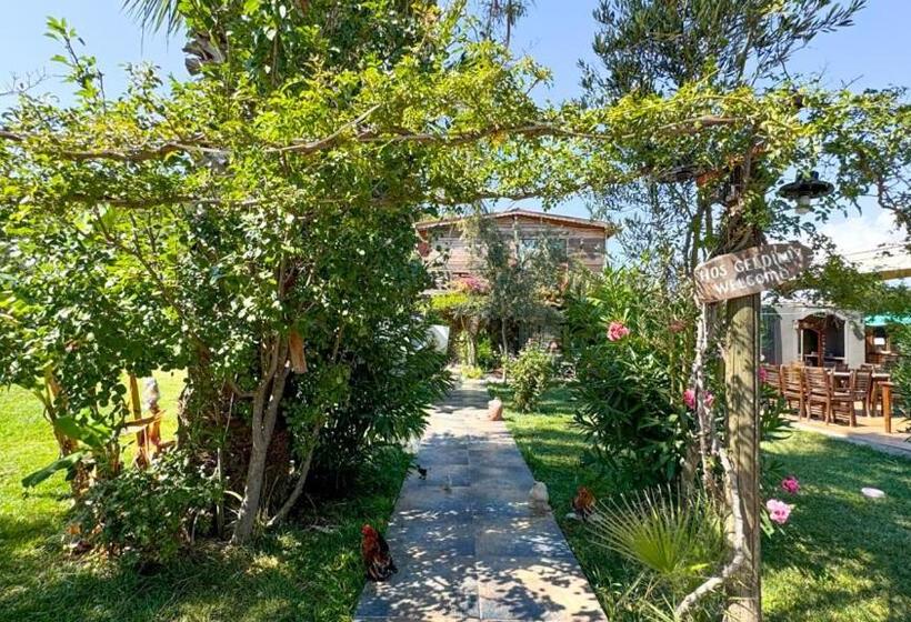 مبيت وإفطار Gaia Bungalow