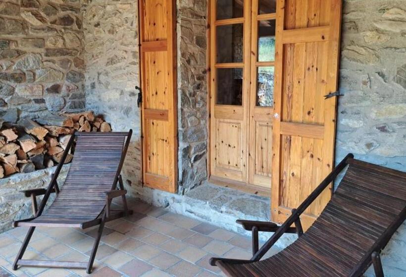 تختخواب و صبحانه Rectoria Nova