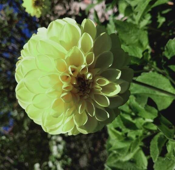 تختخواب و صبحانه Rectoria Nova