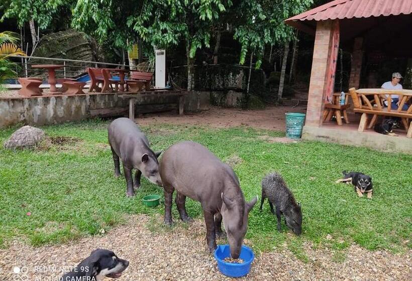 فندق Piedra Alta