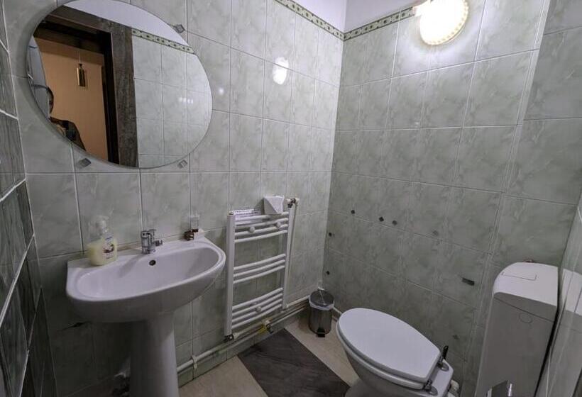 ペンション Casa Helen House, Iasi