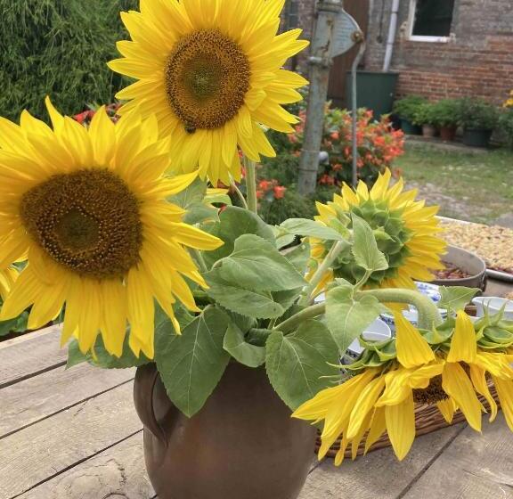 Пансион Schlamau19   Unterm Nussbaum