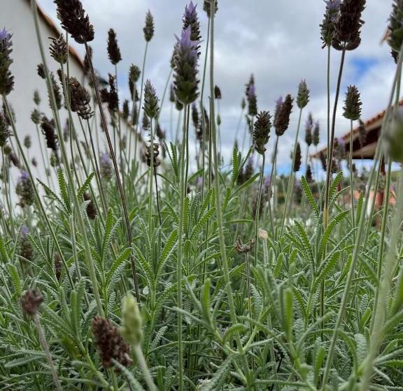 هاستل Rileys Home