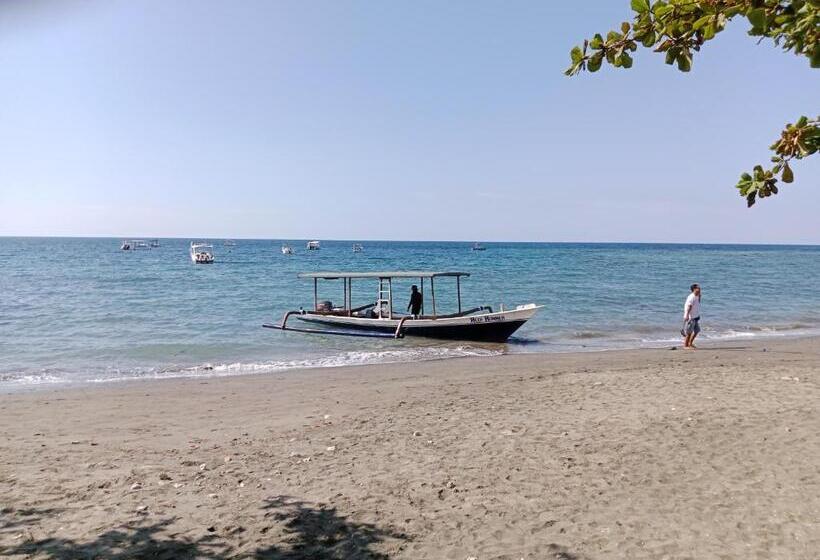 Отель The Beach Bungalows & Turtle Sanctuary