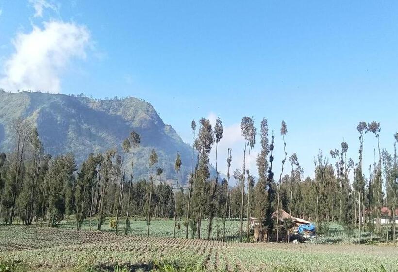 ペンション Tengger Indah Seruni Bromo