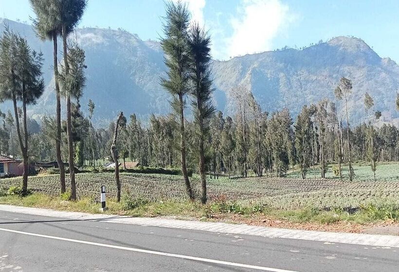 ペンション Tengger Indah Seruni Bromo