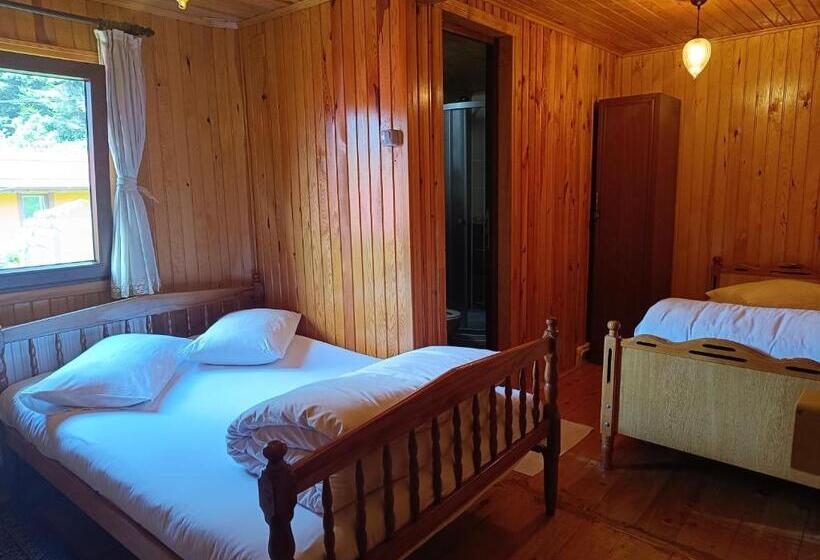 مبيت وإفطار Ayder Petek Apart Otel