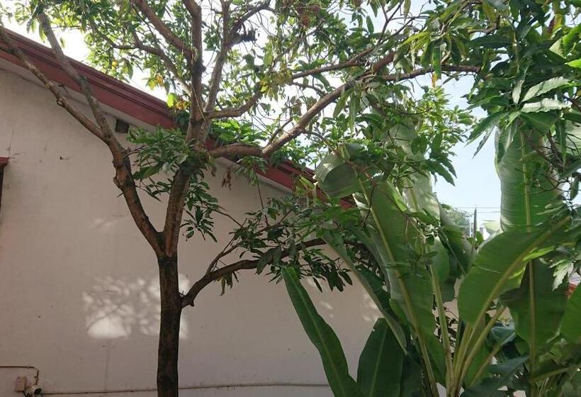 ベッドアンドブレックファースト Canaan Music