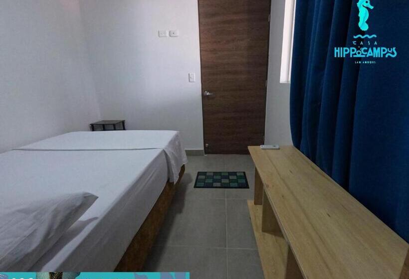 تختخواب و صبحانه Sukha Hippocampus San Andrés Isla