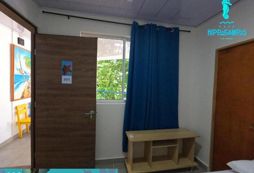 تختخواب و صبحانه Sukha Hippocampus San Andrés Isla