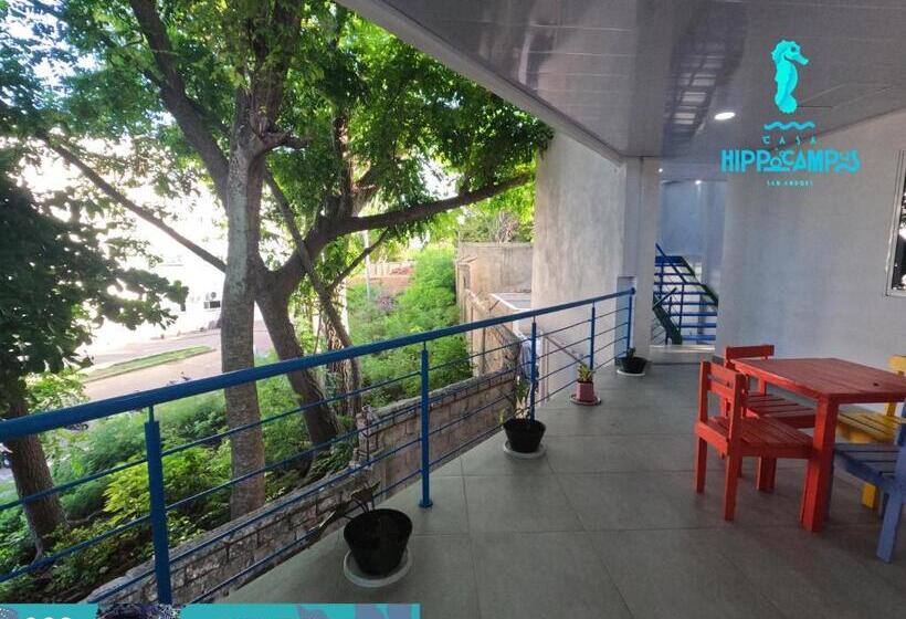 تختخواب و صبحانه Sukha Hippocampus San Andrés Isla