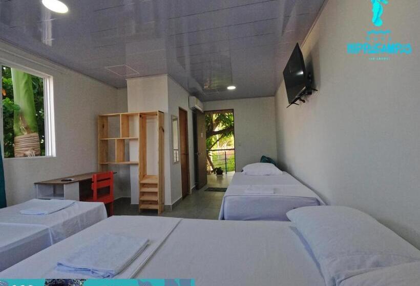 تختخواب و صبحانه Sukha Hippocampus San Andrés Isla