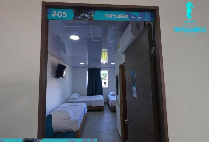 تختخواب و صبحانه Sukha Hippocampus San Andrés Isla