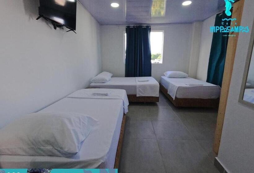 تختخواب و صبحانه Sukha Hippocampus San Andrés Isla