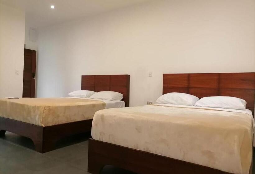 فنادق الكبسولة Scala Inn