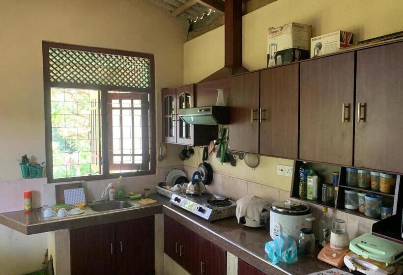 酒店 Sinharaja Holiday Bungalow