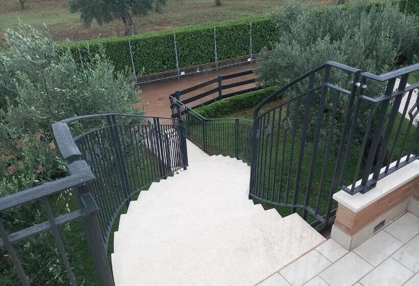 ペンション Giardino Tra Gli Ulivi