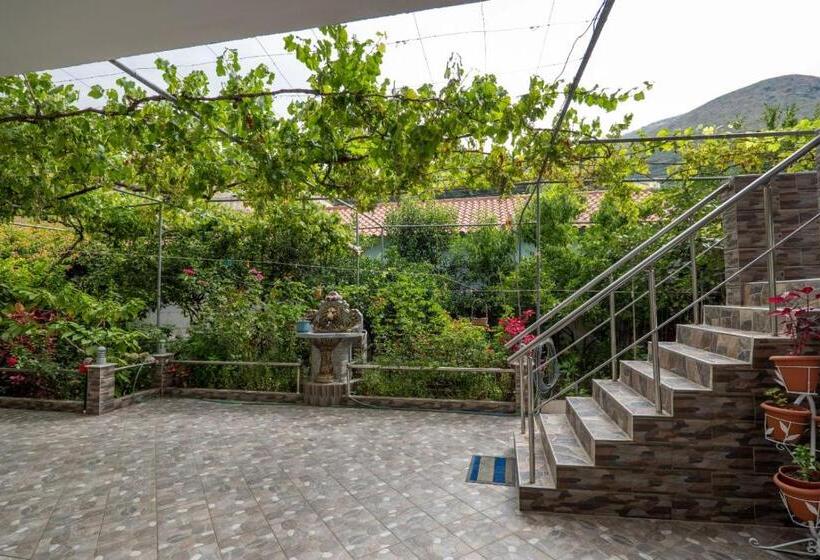 پانسیون Zana Guesthouse
