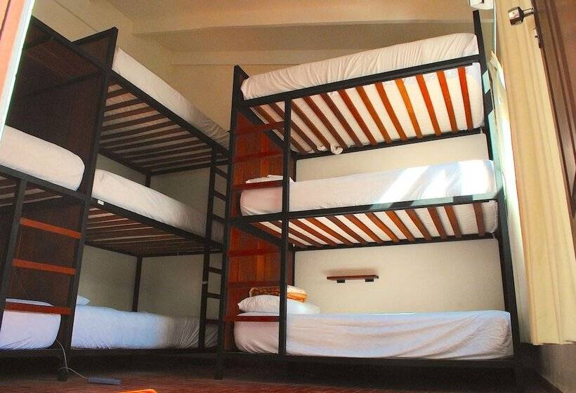تختخواب و صبحانه Nomad Hostel