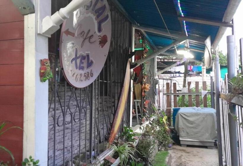 فندق صغير Hostal Cafe Axel