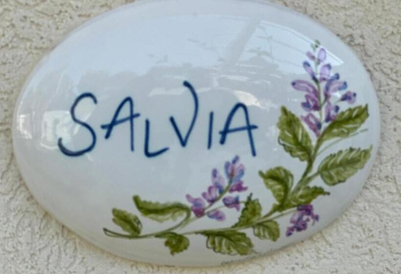 צימר Luna D Argento