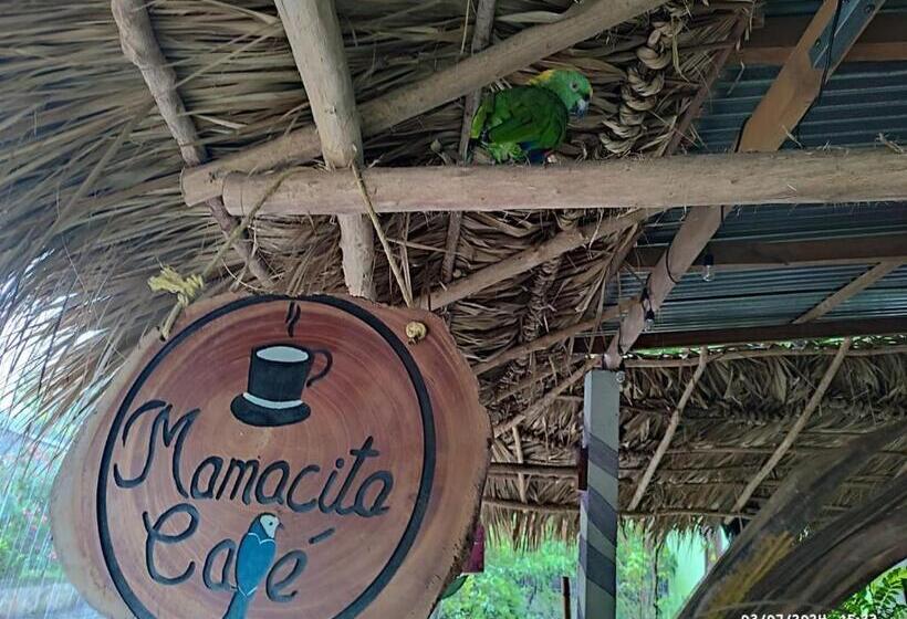 هتل کپسول Mamacita Café House