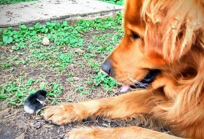 هتل Finca Sumak Kawsay Ncc