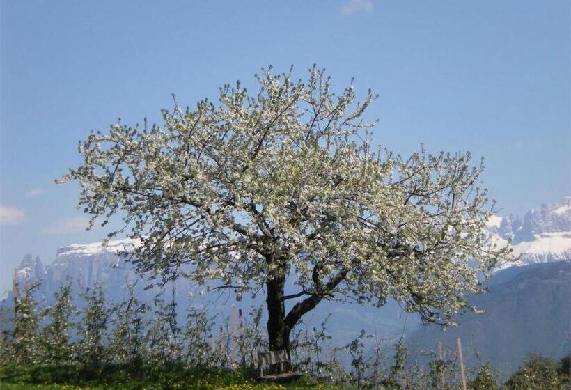 Отель Regalterhof Eppan