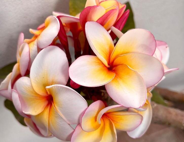 پانسیون Il Cuore Di Trapani