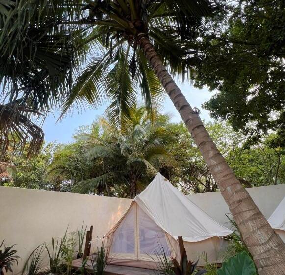 هتل Shamalay   Nomad Experience