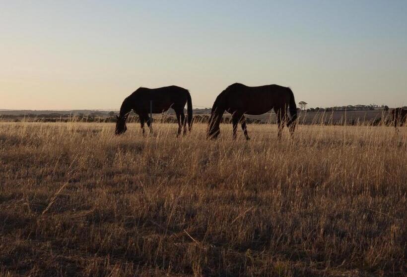 בית מלון כפרי Boshack Outback Farmstay   Perth Eco Farm