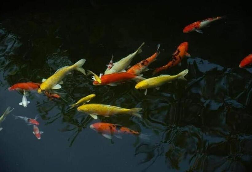 酒店 The Secret Garden Maesot