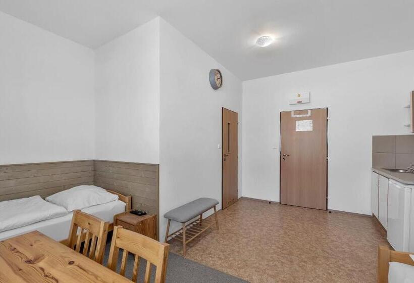 پانسیون Apartmány A Ubytování Přemyslova, Hradec Králové