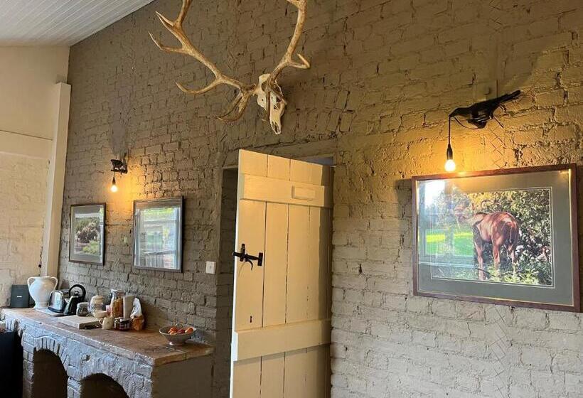 مبيت وإفطار Highfield Farm