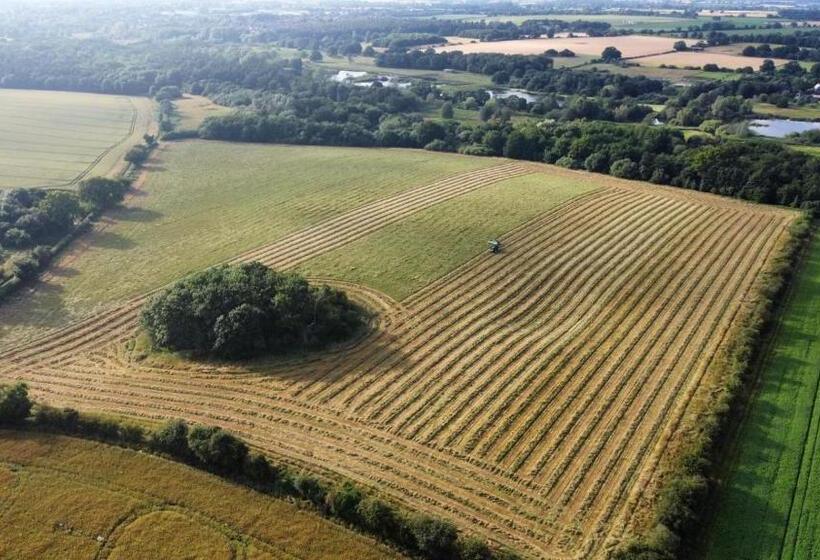 مبيت وإفطار Highfield Farm