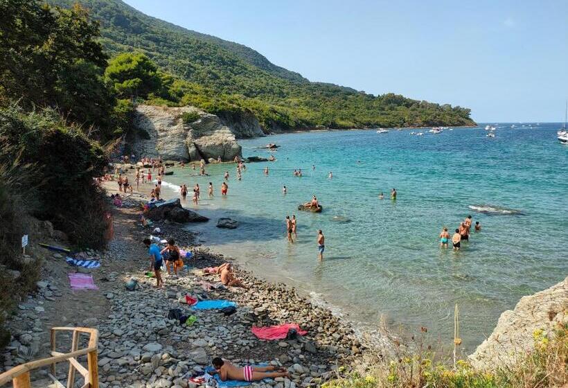 住宿加早餐  Azienda Agrituristica Verdevalle