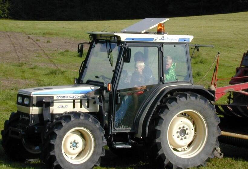 בית מלון כפרי Binterhof Familie Mosser