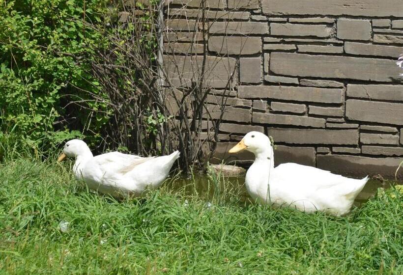 בית מלון כפרי Binterhof Familie Mosser