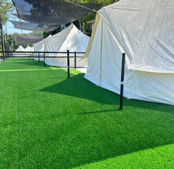 بنسيون Dnamie Glamping   Lux Tent