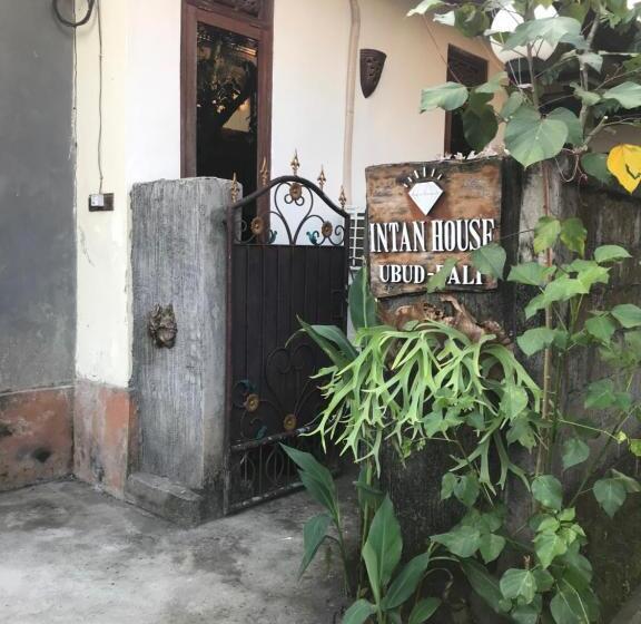 펜션 Intan House