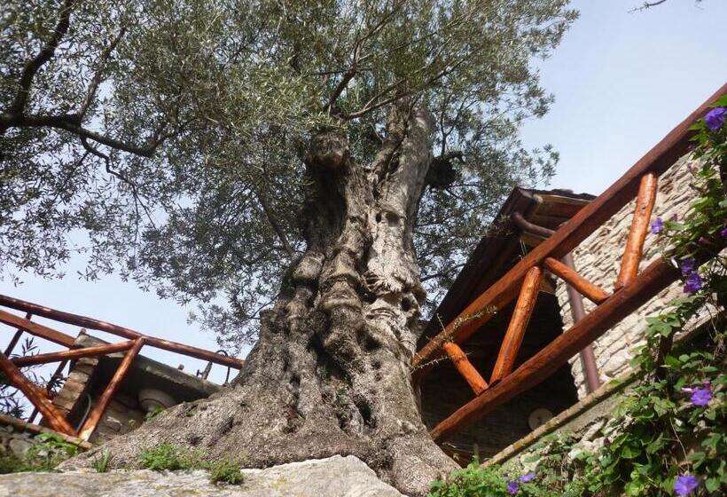 مبيت وإفطار Rocca Del Vento
