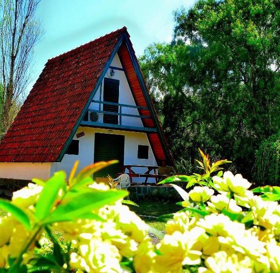 Cabañas Verde Y Blanco