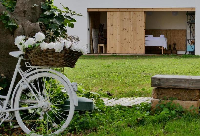 تختخواب و صبحانه Boho Suites Denia