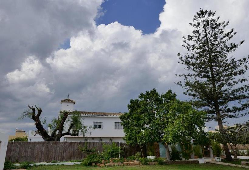 تختخواب و صبحانه Boho Suites Denia