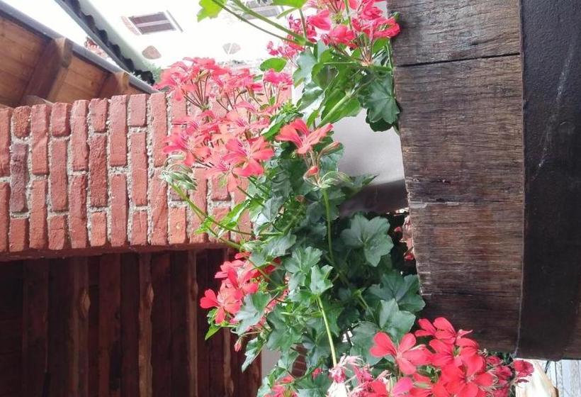 민박 Relais Profumo Di Vino