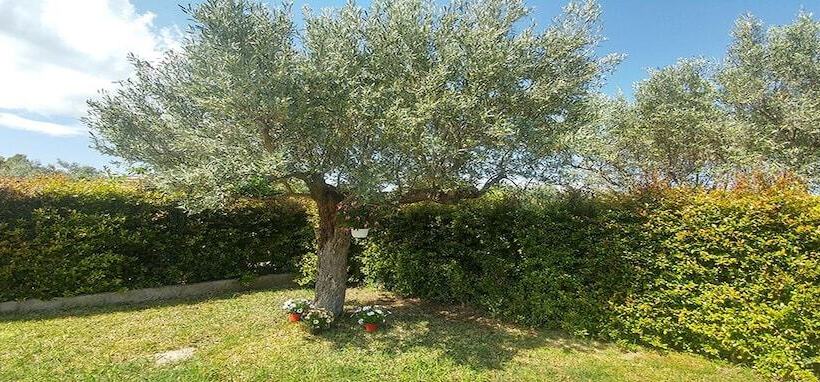 مبيت وإفطار Villa Aurelio