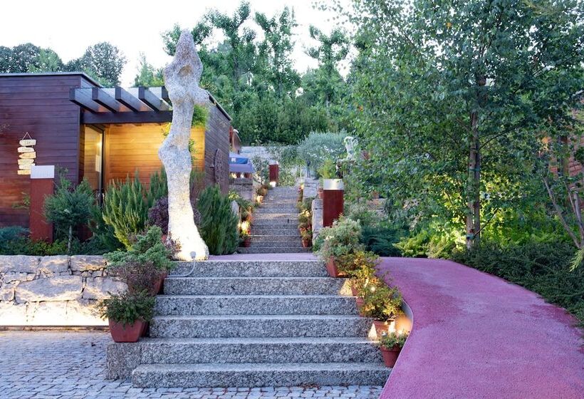 住宿加早餐  Vale De São Torcato Hotel Rural