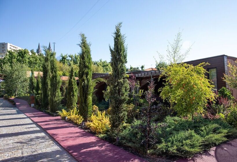 住宿加早餐  Vale De São Torcato Hotel Rural